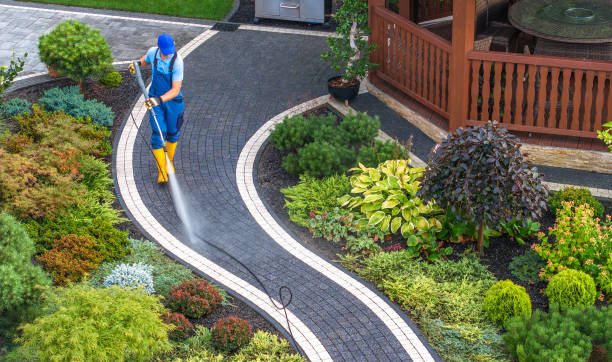 Best Local Pressure Washing Services  in La Vergne, TN